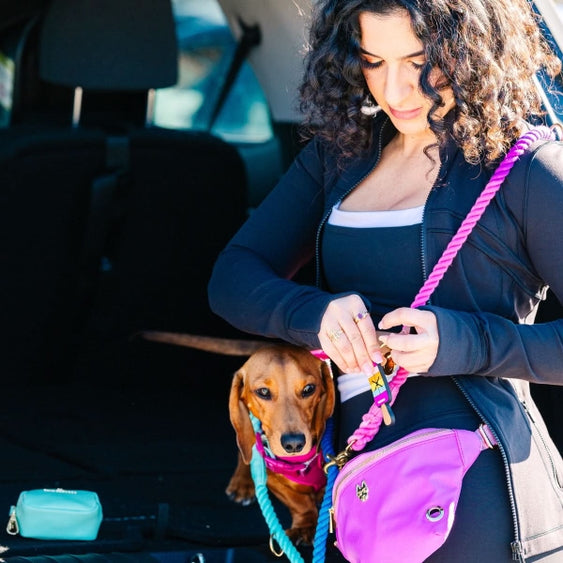 Pixie Hands Free Leash Multi Use Dog Leash Dog Lead