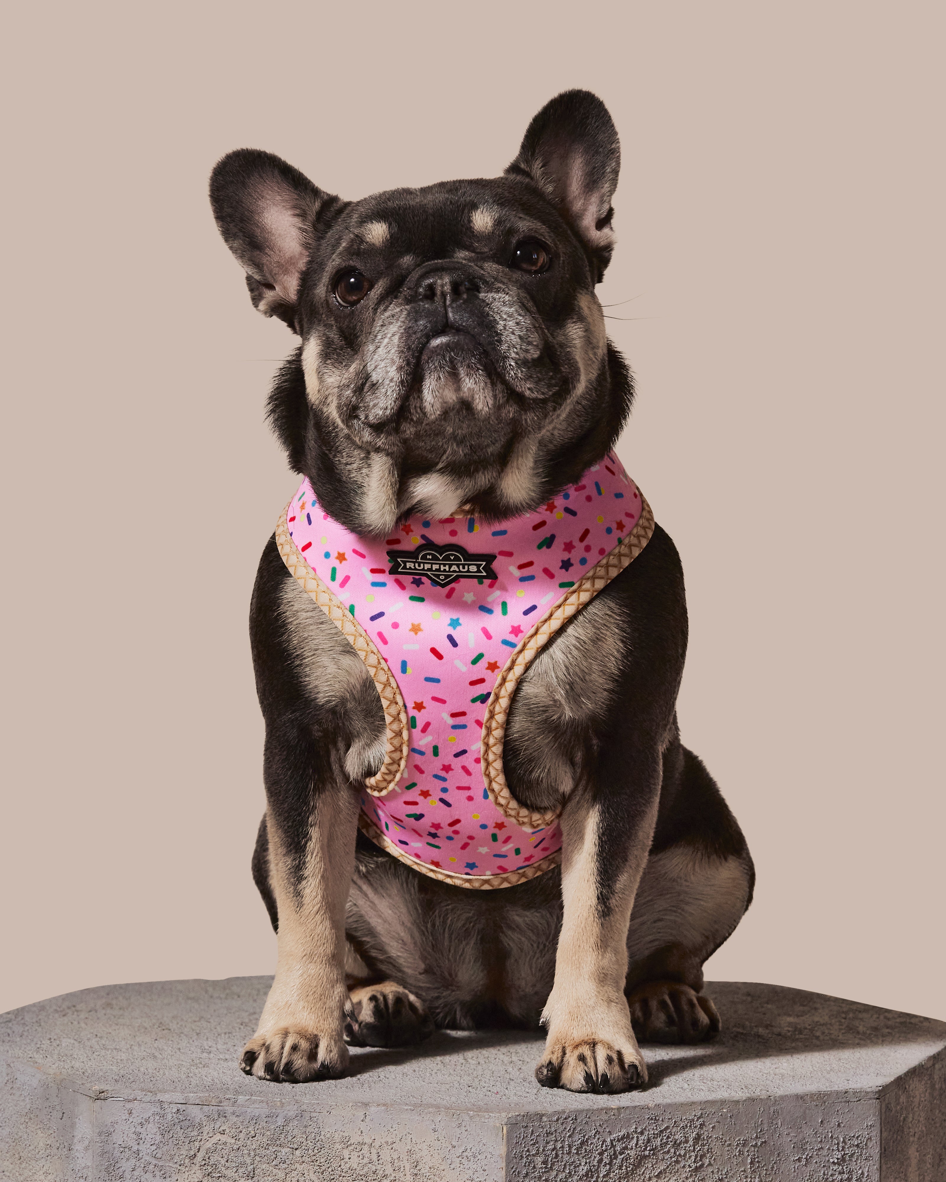 Reversible pink harness for pets by RUFFHAUS NYC, featuring adjustable straps and a stylish, colorful design.
