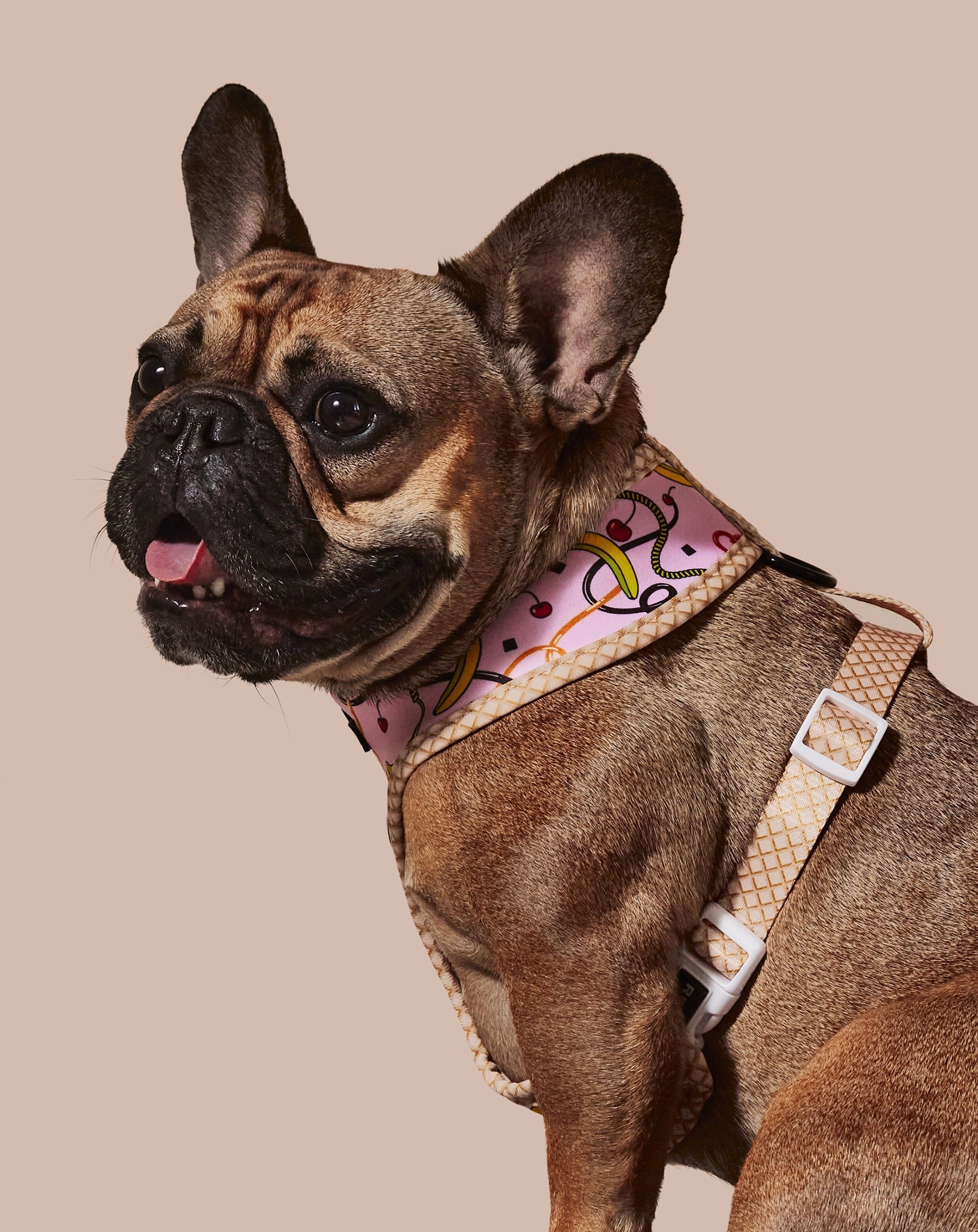 Reversible pink harness for pets by RUFFHAUS NYC, featuring adjustable straps and durable buckles for comfortable wear.