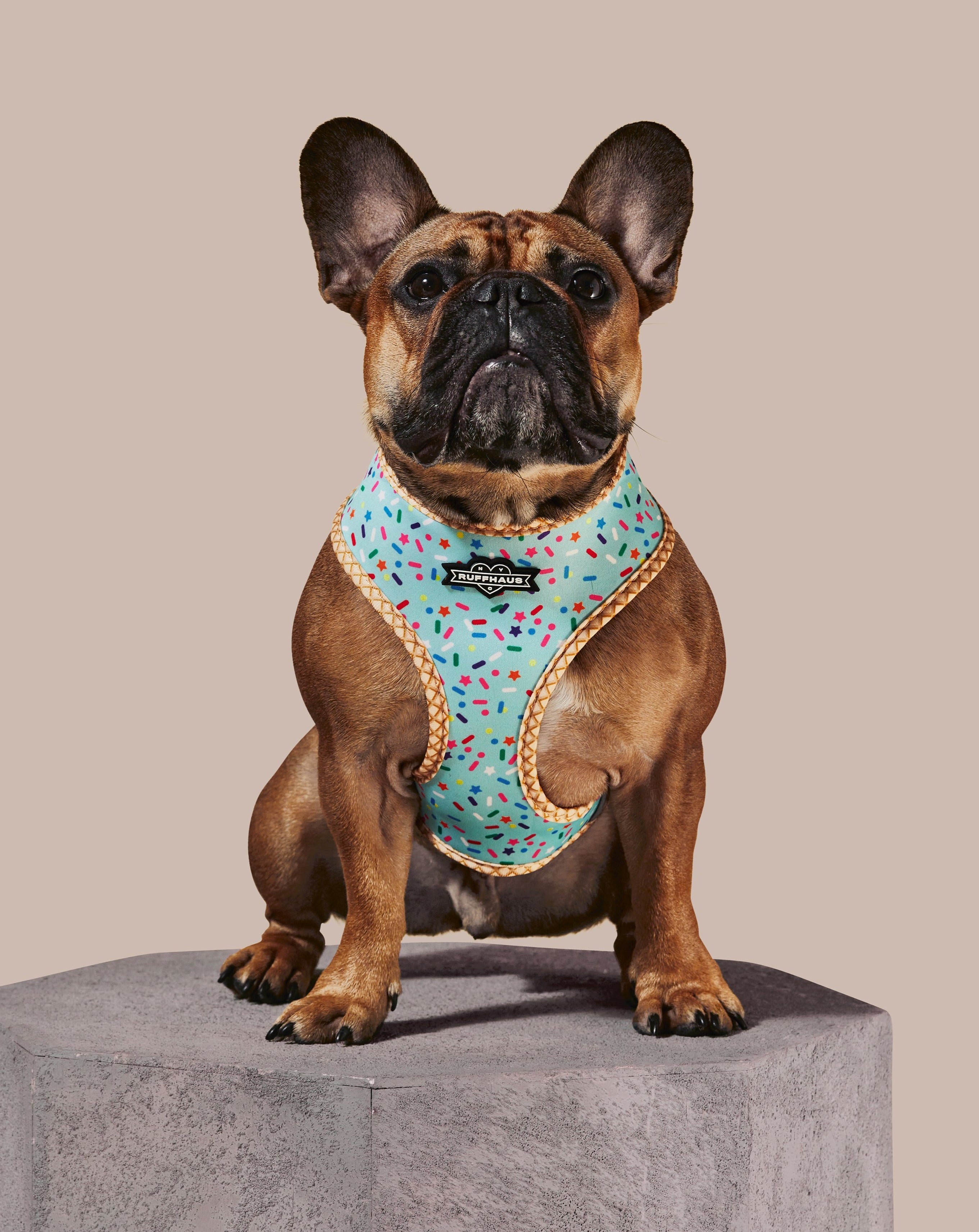 Blue reversible harness by RUFFHAUS NYC featuring adjustable straps and a secure buckle, displayed on a mannequin.