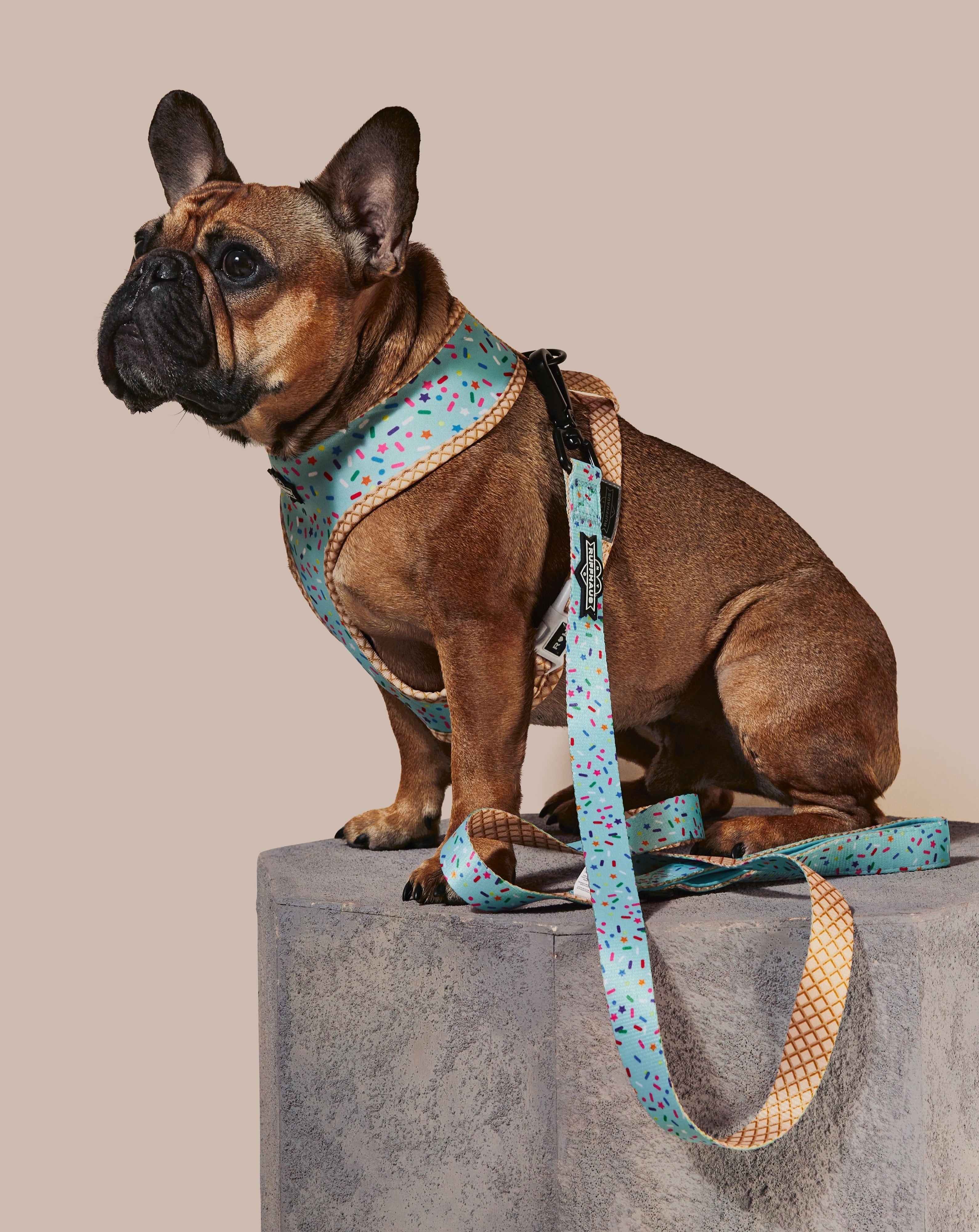 Blue reversible harness by RUFFHAUS NYC with adjustable straps, shown on a small dog, featuring stylish and comfortable pet accessory.