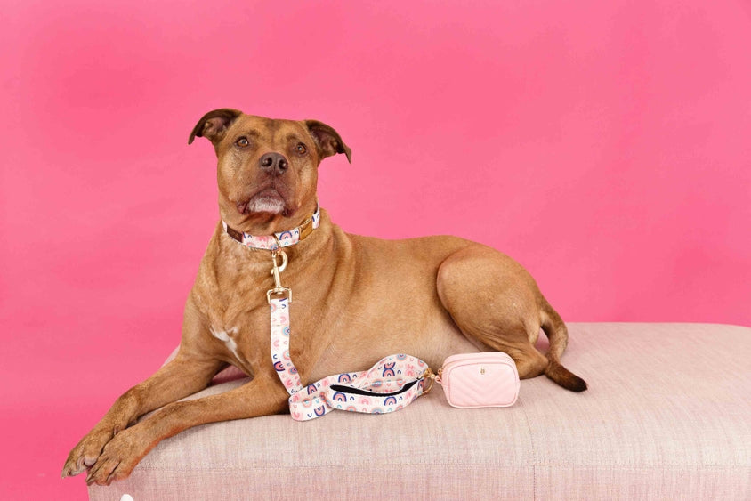 Kylie Pink Vegan Leather Poop Bag Dispenser and Treat Pouch