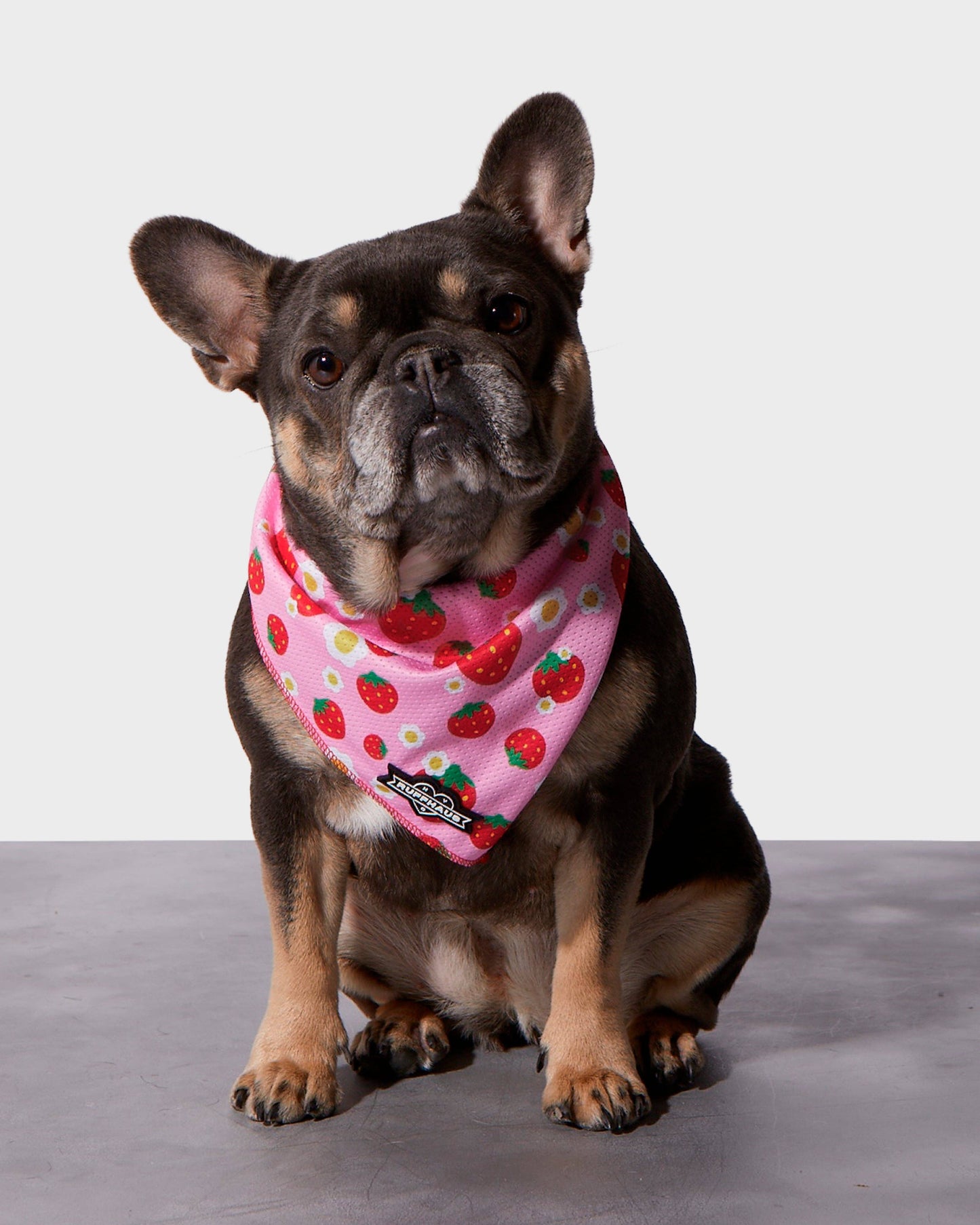 Strawberry Cooling Bandana for Summer Heat Relief