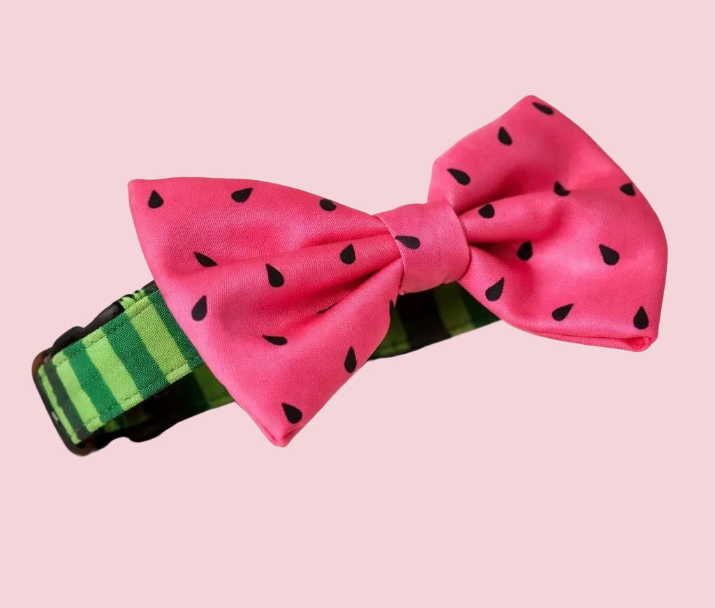 Watermelon Bow Collar Set - Luna Doodle Boutique