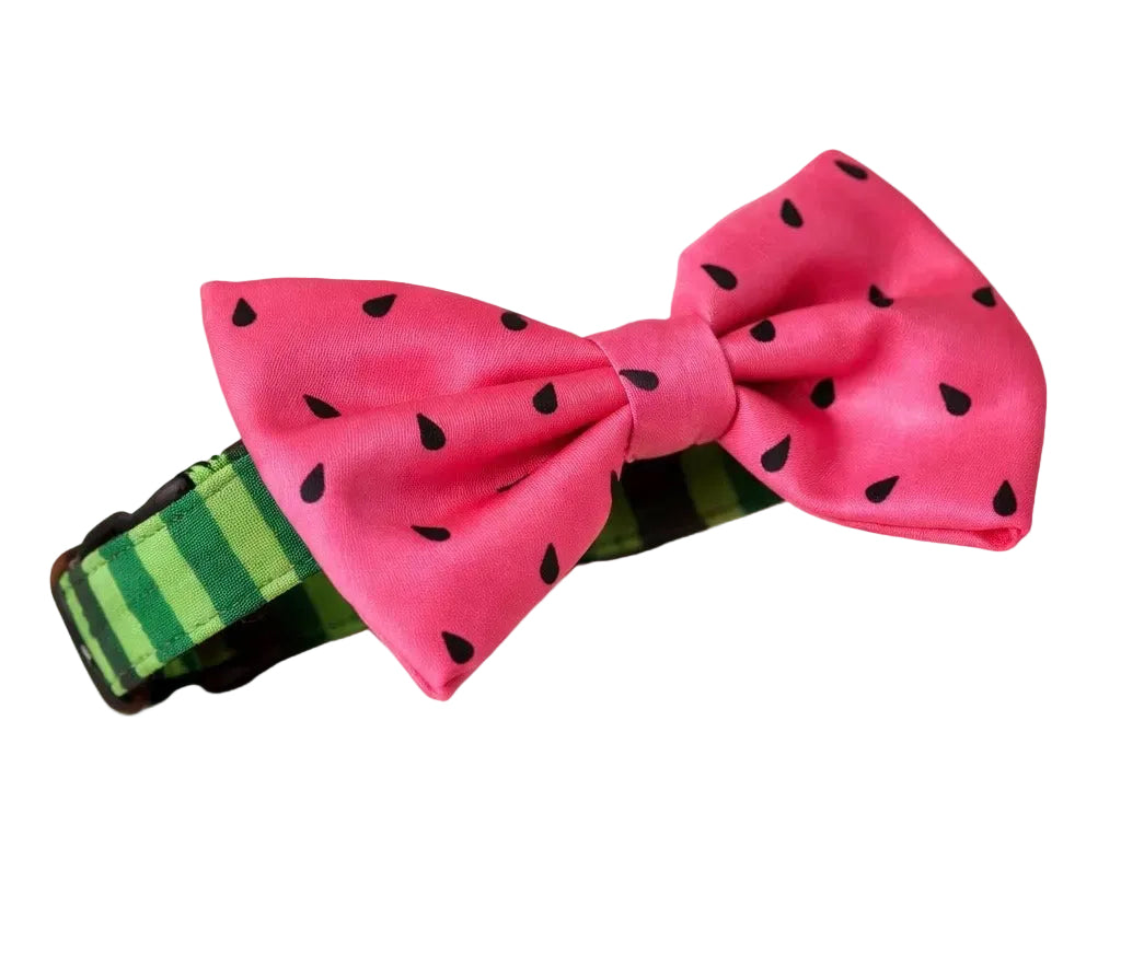 Watermelon bow collar set from Luna Doodle Boutique featuring a playful, colorful fabric bow accessory.