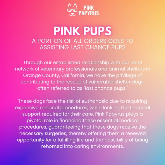Pixie Hands Free Leash Multi Use Dog Leash Dog Lead