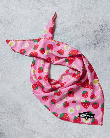 Strawberry Cooling Bandana for Dogs by Ruffhaus NYC