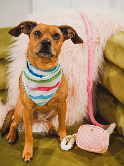 Kylie Pink Vegan Leather Poop Bag Dispenser and Treat Pouch