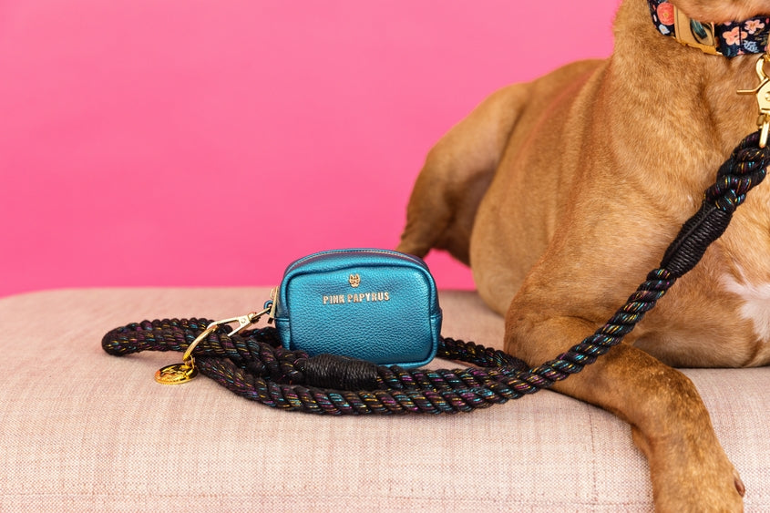 Hudson Blue Vegan Leather Waste Bag Dispenser And Treat Pouch