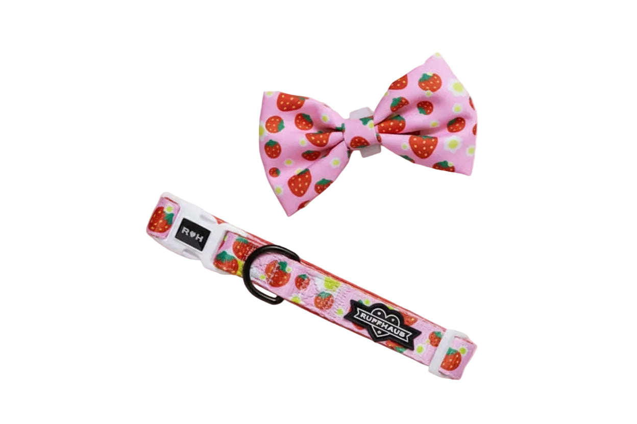 Strawberry Bow Collar Set by Luna Doodle Boutique featuring a cute pink collar with a bow and strawberry charm for pets.