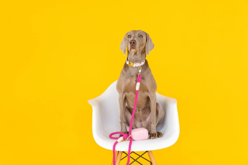 Kylie Pink Vegan Leather Poop Bag Dispenser and Treat Pouch