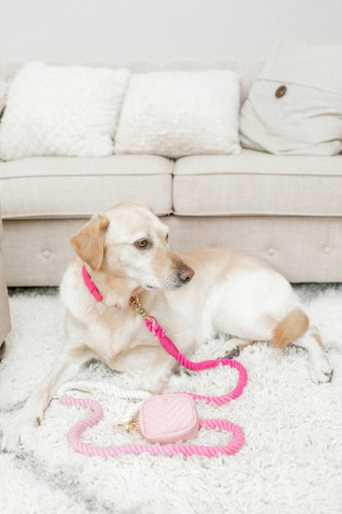 Kylie Pink Vegan Leather Poop Bag Dispenser and Treat Pouch