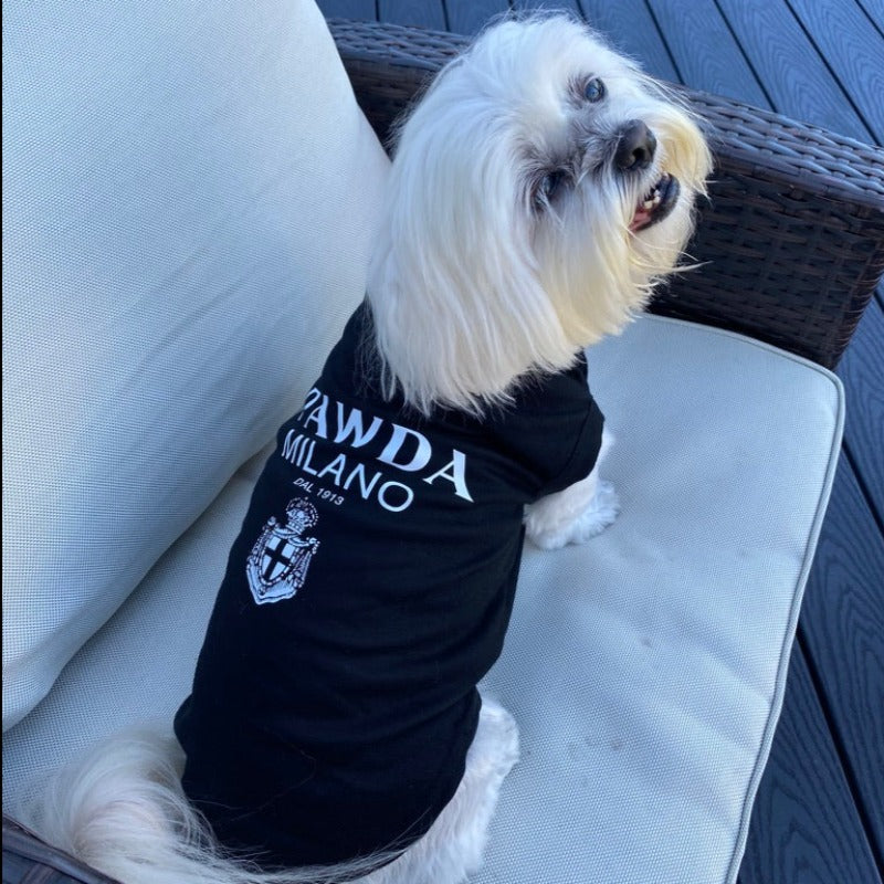 “Pawda" Dog T-Shirt