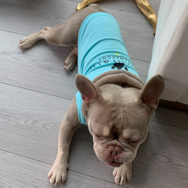 Blue “Sniffany & Co" Dog T-Shirt