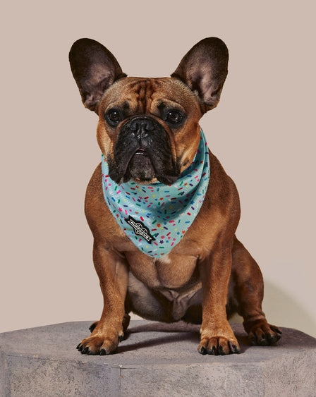 Sprinkle Me Blue Cooling Bandana For Dogs Birthday Celebration