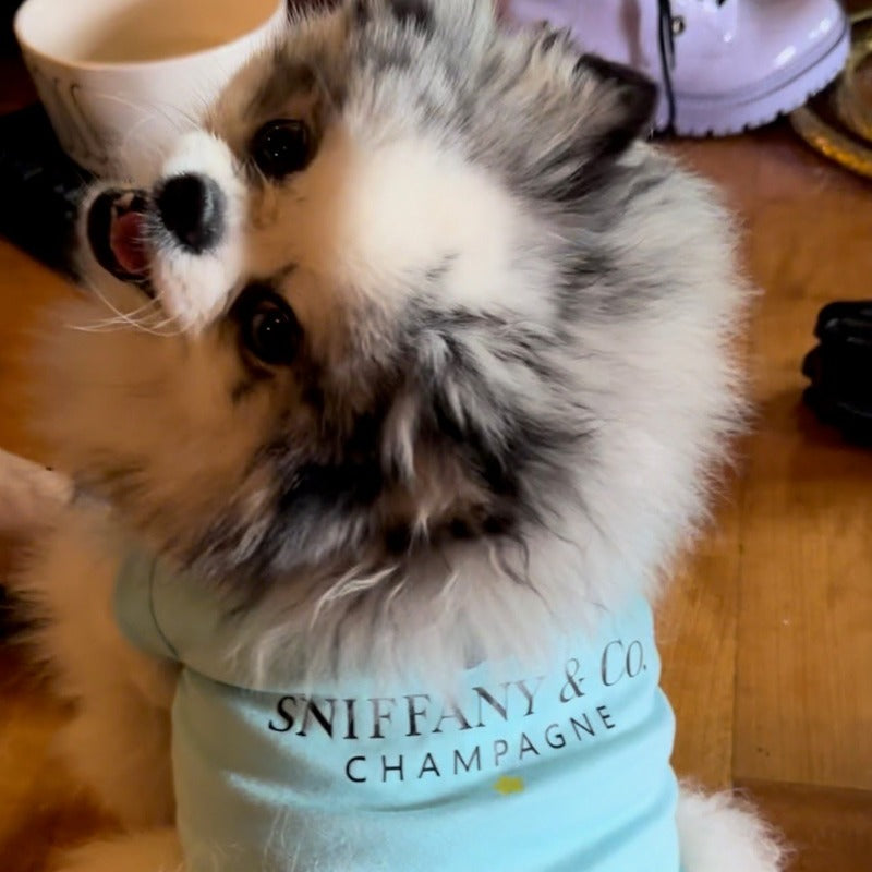 Blue “Sniffany & Co" Dog T-Shirt