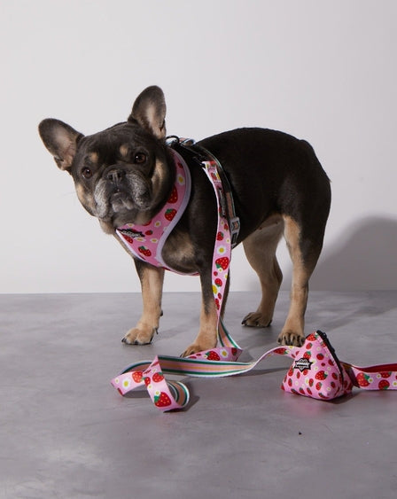 Strawberry Poop Bag Holder Durable Neoprene Design