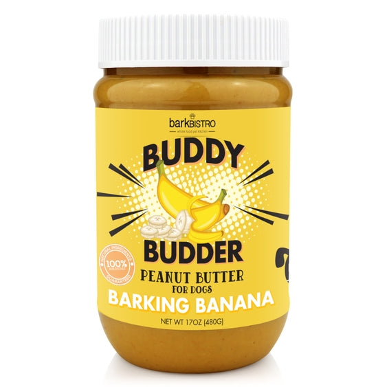 Luna Doodle Boutique Barkin Banana Buddy Budder dog toy with banana shape and colorful design on soft fabric.