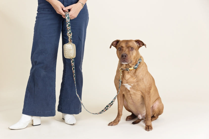 Aria Gold Vegan Leather Poop Bag Dispenser and Treat Pouch