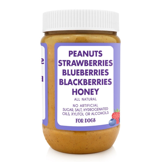 Dog Peanut Butter Superberry Snoot Buddy Budder Treat