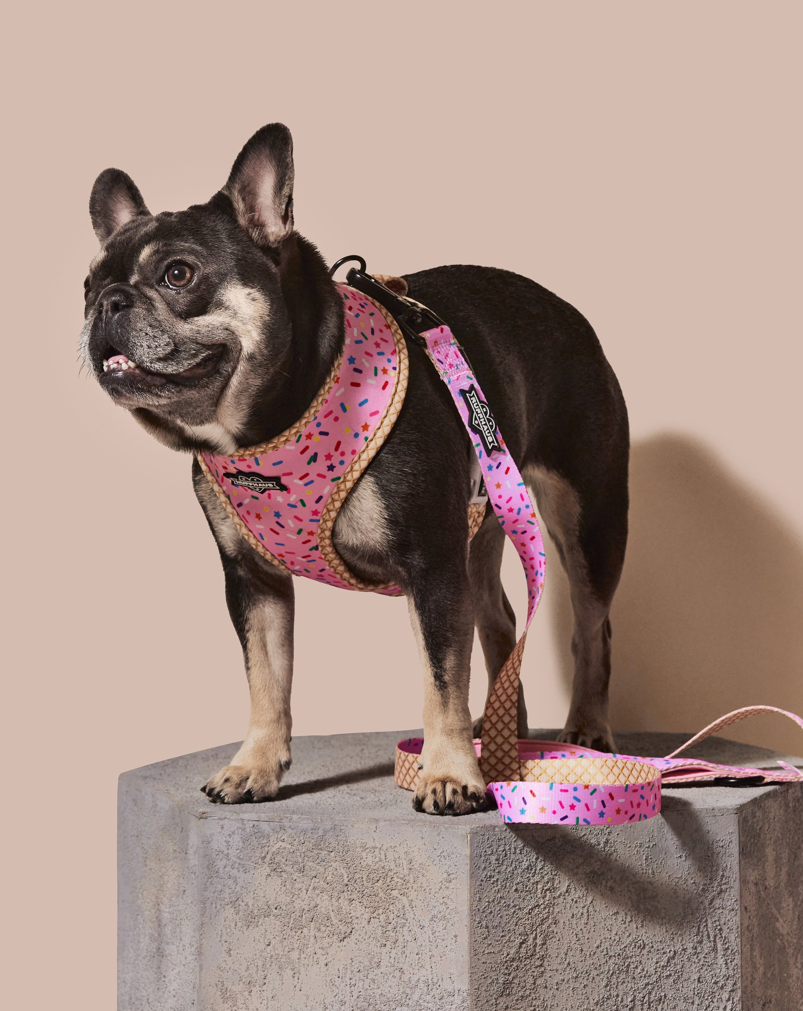 Reversible pink harness for dogs by RUFFHAUS NYC, featuring a stylish sprinkle pattern on soft, adjustable material.