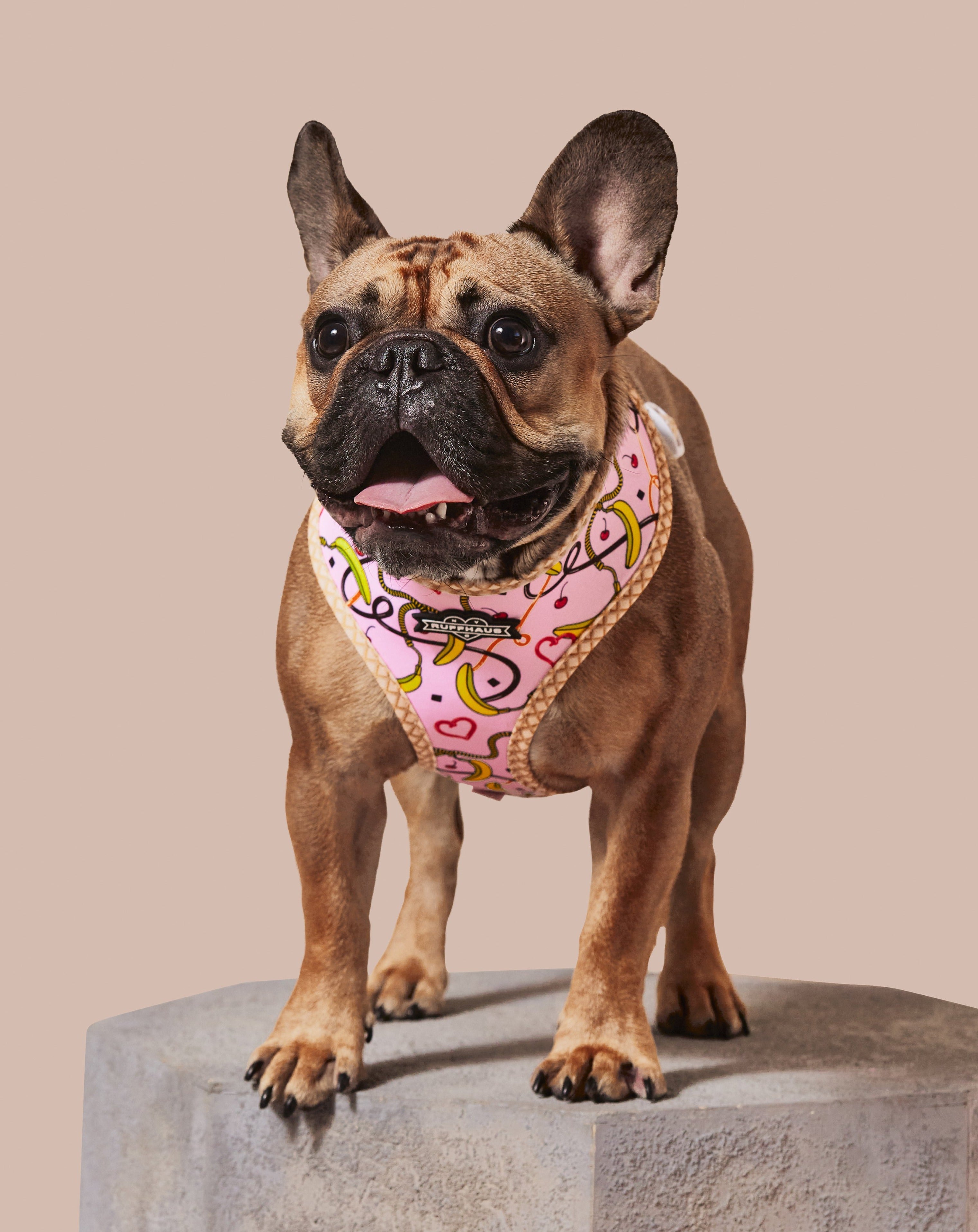 Reversible pink harness for pets by RUFFHAUS NYC, featuring adjustable straps and a stylish design for comfortable wear.
