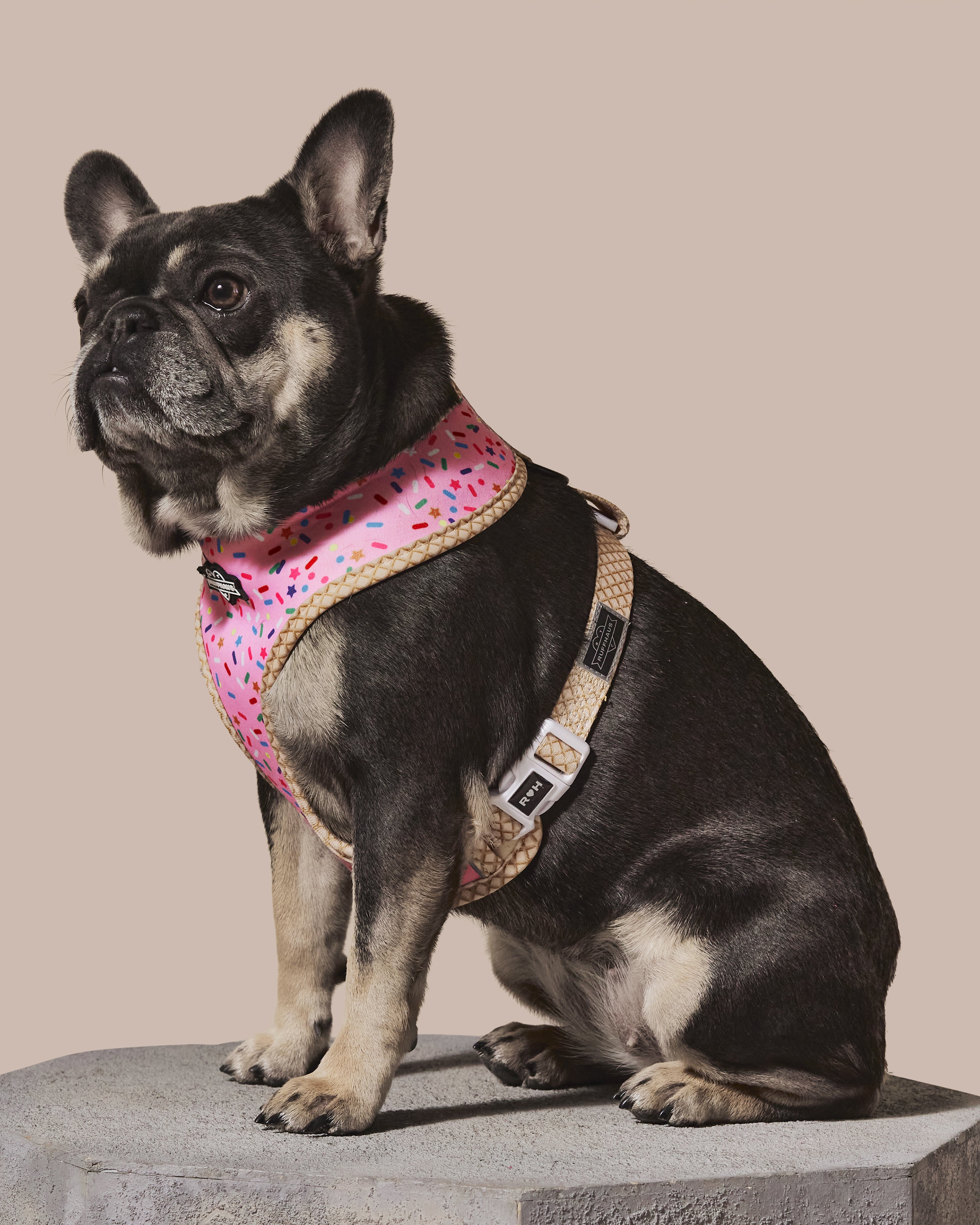 Reversible pink harness for dogs by RUFFHAUS NYC, featuring adjustable straps and a stylish design.