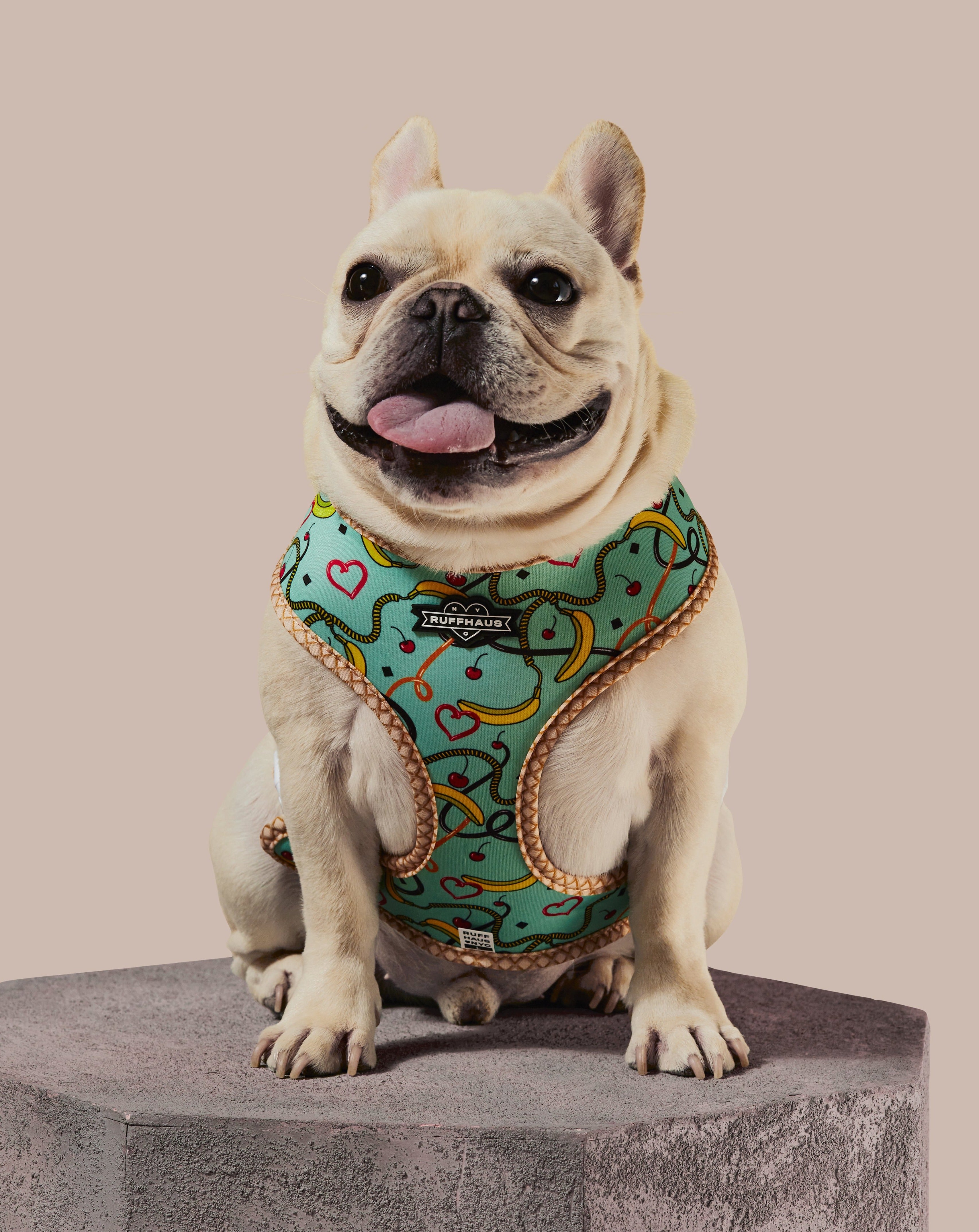 Blue reversible harness from RUFFHAUS NYC with adjustable straps and D-ring for leash attachment, suitable for pets.