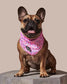Sprinkle Me Pink Cooling Bandana for Dogs Birthday Celebrations