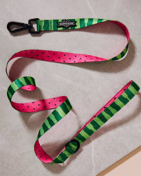 What A Melon Dog Leash by Ruffhaus NYC