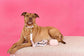 Kylie Pink Vegan Leather Poop Bag Dispenser and Treat Pouch