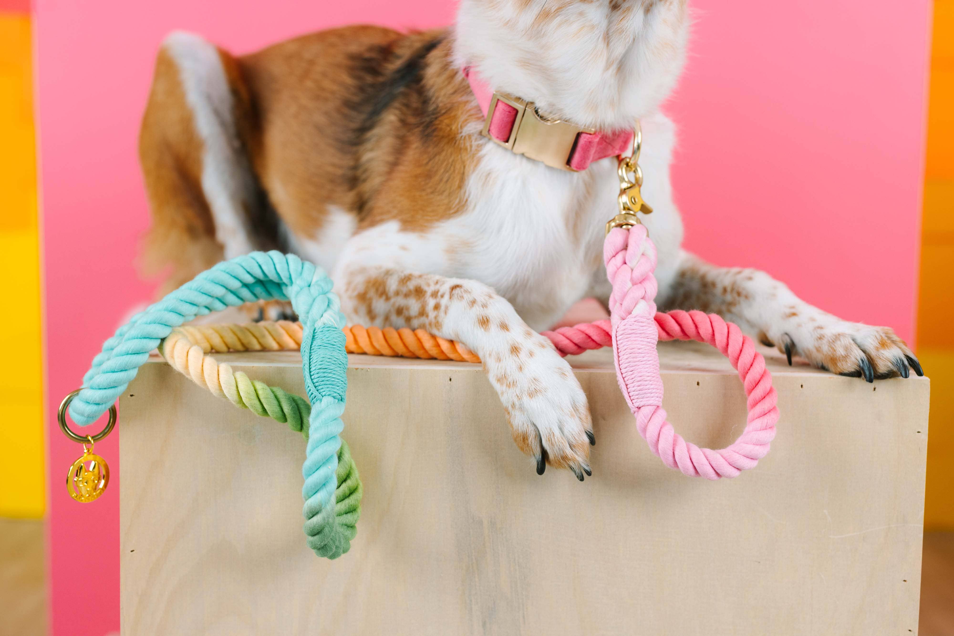 Pastel Ombr'e Rope Dog Leash - Luna Doodle Boutique