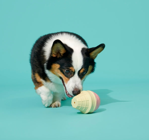 Luna Doodle Boutique Squeak Cone Dog Toy with vibrant colors and durable design for interactive play and chewing fun.