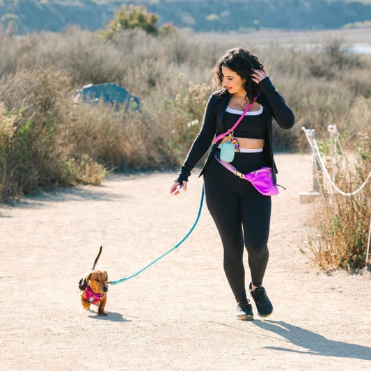 Pixie Hands Free Leash Multi Use Dog Leash Dog Lead