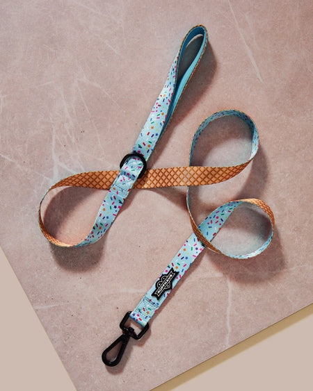 Sprinkle Me Blue Dog Leash For Dog Birthday Celebrations