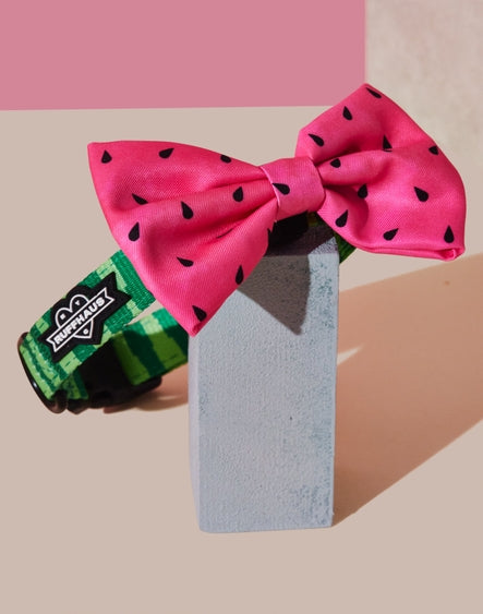 What A Melon Dog Collar And Bowtie Set by Ruffhaus NYC