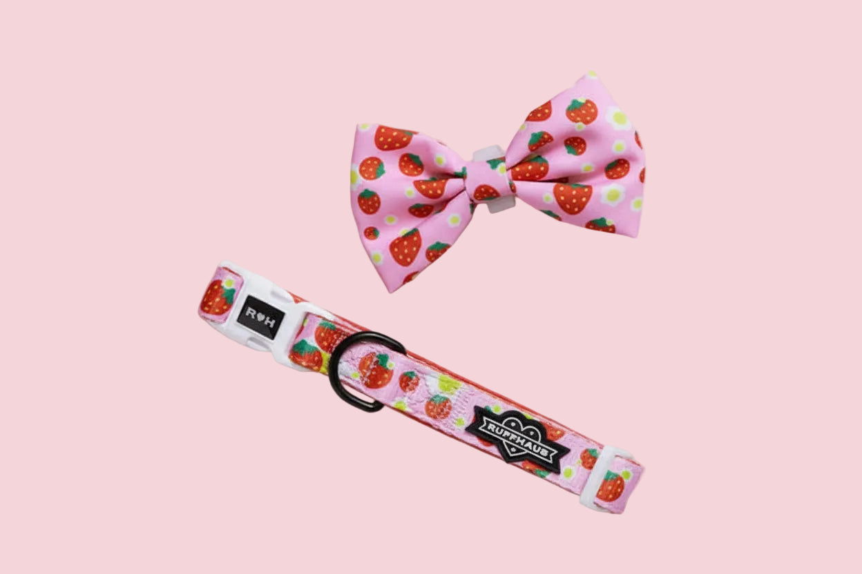 Strawberry Dog Collar and Bowtie - Luna Doodle Boutique