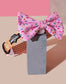 Sprinkle Me Pink Dog Collar and Bowtie for Dog Birthday Celebration