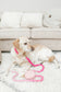 Kylie Pink Vegan Leather Poop Bag Dispenser and Treat Pouch