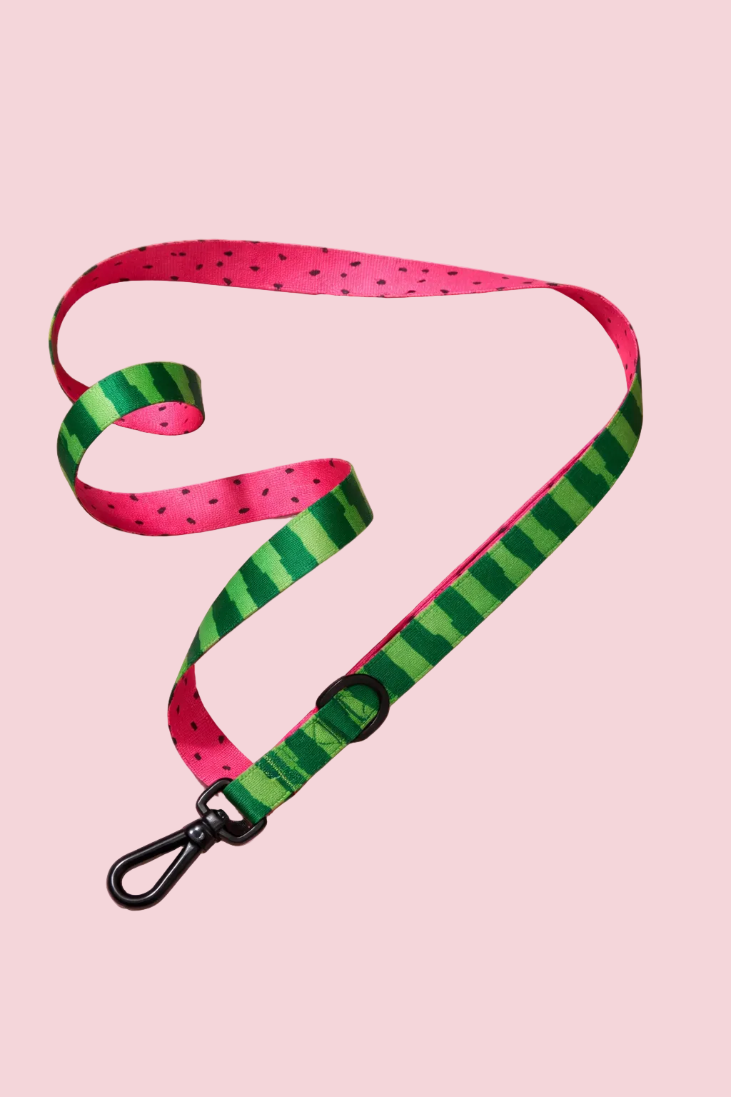 What a Melon Leash - Luna Doodle Boutique