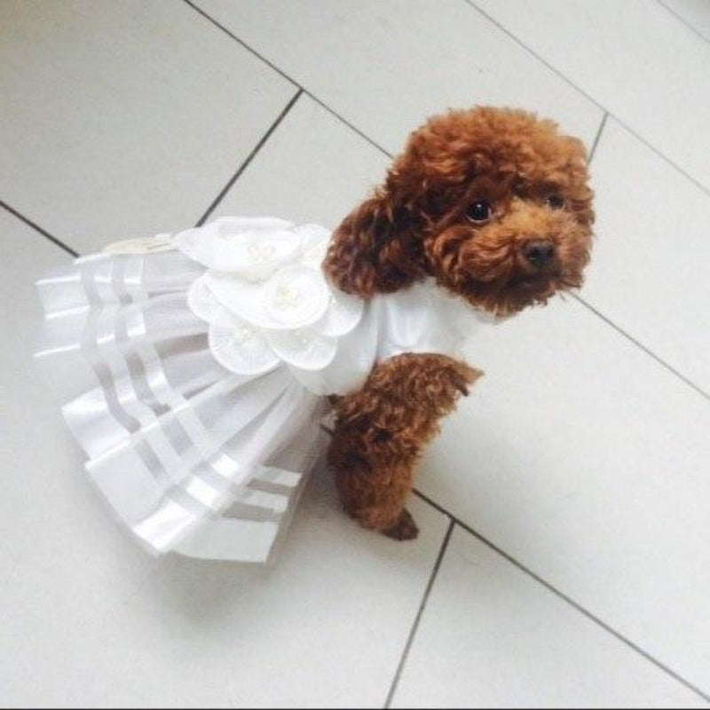 Precious Pooch Princess Wedding Dog Dress