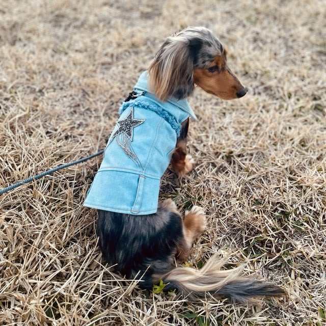 Stylish Fringed Denim Dog Jacket with Star Embroidery