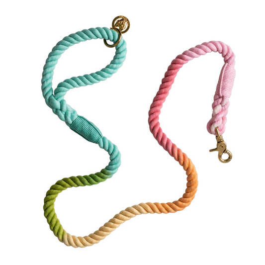 Halston Rope Dog Leash Pastel Dog Leash Organic Cotton Pink Papyrus
