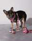 Strawberry Poop Bag Holder Durable Neoprene Design