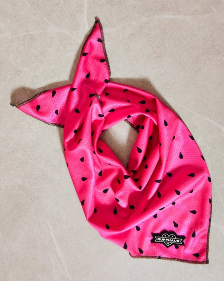 What A Melon Cooling Bandana For Pets