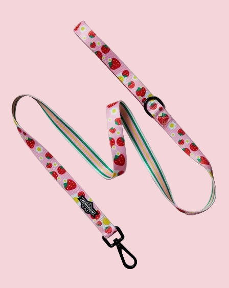 Strawberry Dog Leash - Luna Doodle Boutique