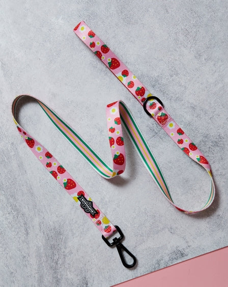 Strawberry Dog Leash Stylish Comfortable Durable Polyester Webbing Pet Accessory