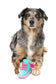 Fuzzyard Fresh Kicks N Licks Dog Chew Toy