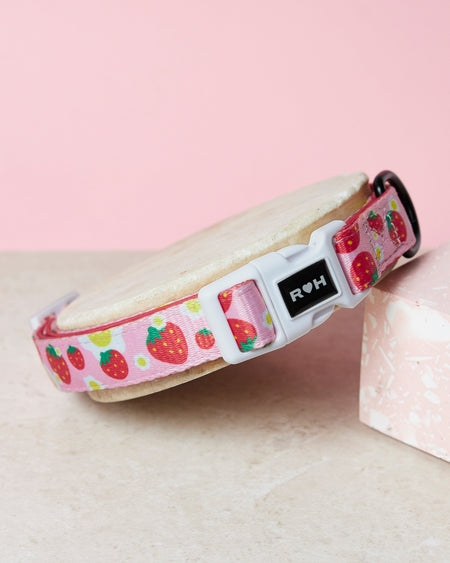Strawberry Dog Collar and Bowtie Adjustable Fashion Accessory