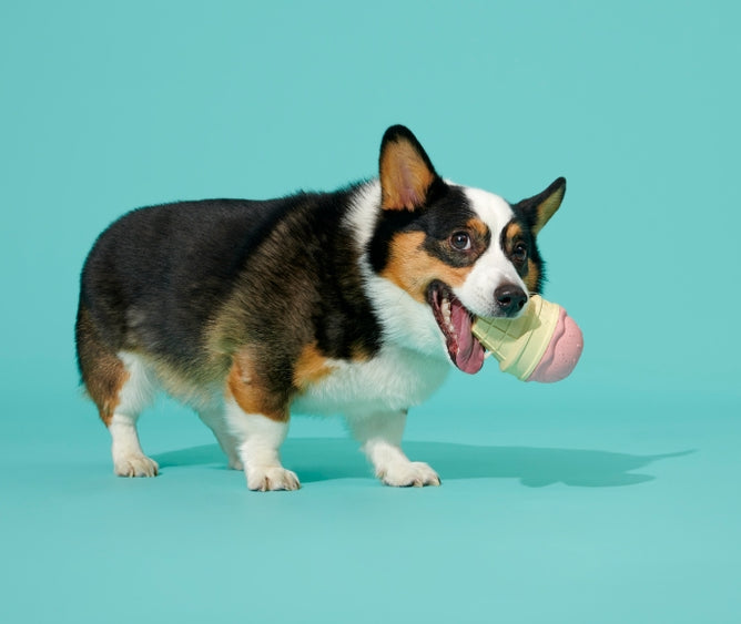 Luna Doodle Boutique Squeak Cone Dog Toy in bright colors with a textured surface for chewing and playful squeaking.